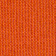 Canvas Orange
